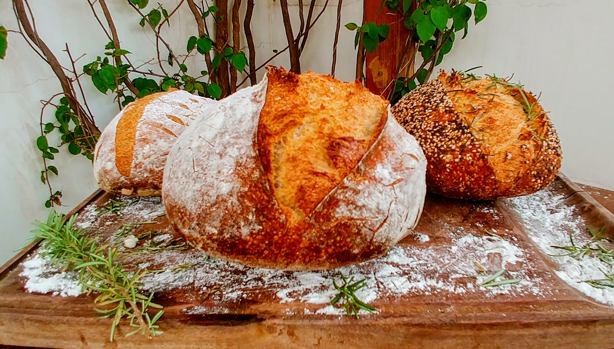 Pão de fermentação natural e conservas